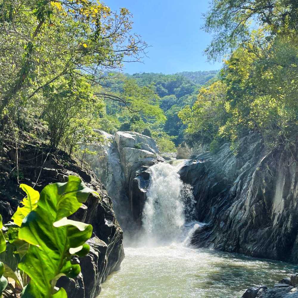 a large waterfall next to a tree