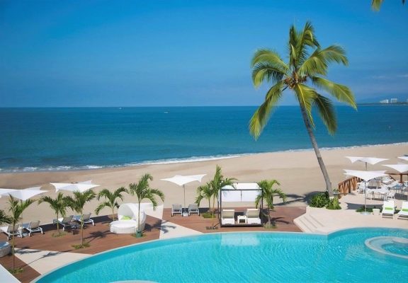 a beach with palm trees and a pool of water